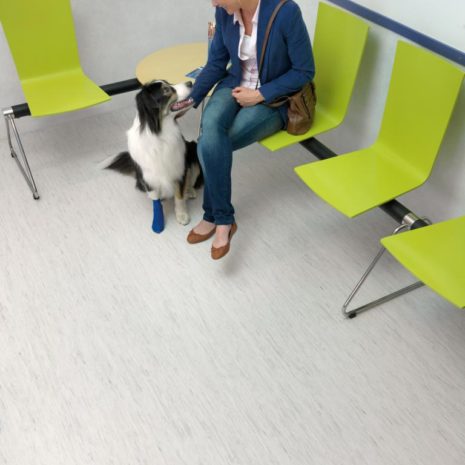 Tarkett Standard Plus 479-3277 Tarkett Standard Plus 479-3277