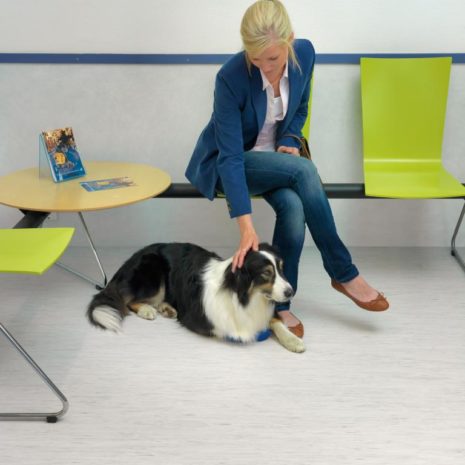 Tarkett Standard Plus 479-3278 Tarkett Standard Plus 479-3278