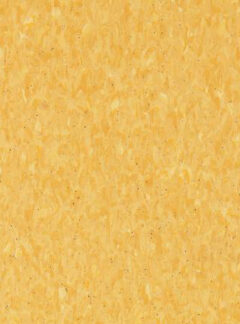 Tarkett Granit Safe T 703-0