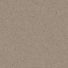 Iq One WARM BEIGE