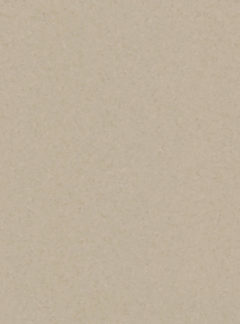 Iq One MISTY BEIGE