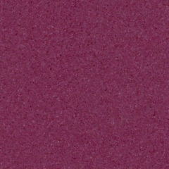 Iq One PURPLE