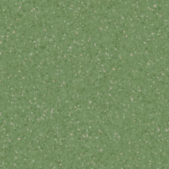 PRIMO ACOUSTIC - Primo DARK GREEN