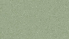 Centra MEDIUM GREEN 0976