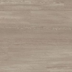 WP418 Pallida